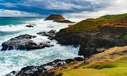 Home 6 Phillip island melbourne pinguini guida completa