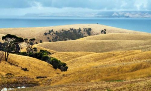 Turismo in Australia 39 autunno-in-Australia