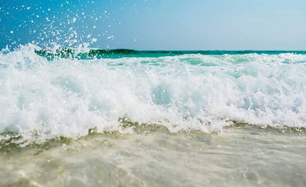 Estate in Australia Stagioni-in-Australia-estate