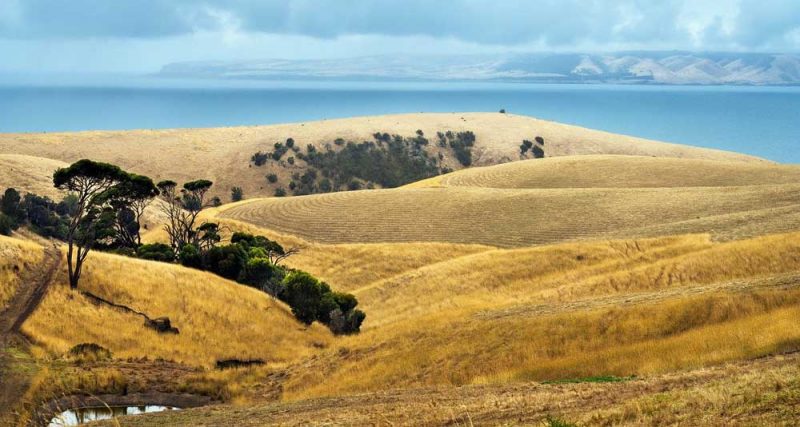 autunno-in-Australia autunno-in-Australia