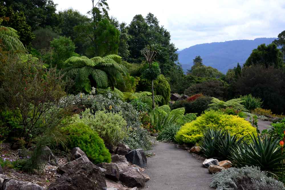Mount Tomah Botanic Garden blue montains