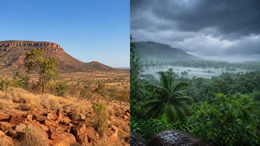 Stagione secca e stagione delle piogge in Australia Stagione secca nel nord tropicale dell’Australia con cielo limpido e natura