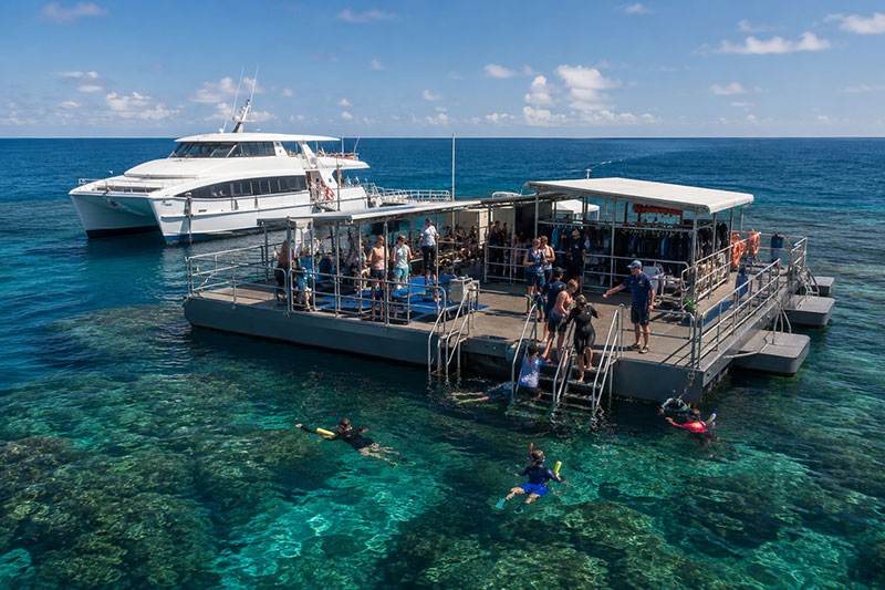 Pontone sull’outer reef con accesso organizzato per snorkeling dalla Grande Barriera Corallina
